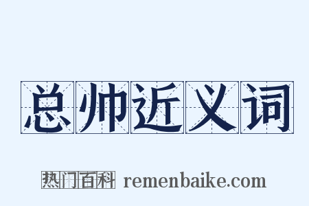 总帅近义词是什么意思的图片